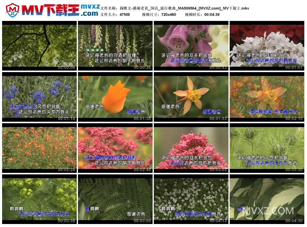 阎维文-感谢老爸_国语_流行歌曲_MA509564